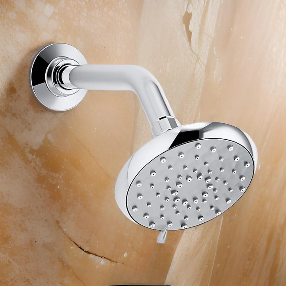 Kohler Awaken Organic multi-mode showerhead with shower arm, overhead shower